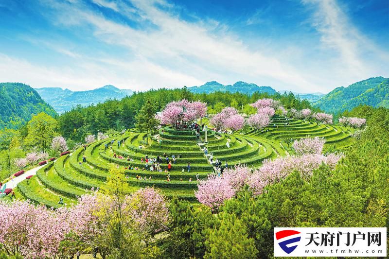 4月以来四川各地公墓超过165万人次祭扫
倡导绿色低碳文明祭扫「相关图片」